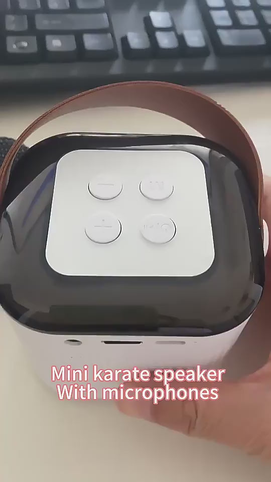 BT Small Speaker Outdoor Portable Card Wireless Smart Karaoke Microphone