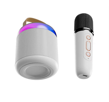BT Small Speaker Outdoor Portable Card Wireless Smart Karaoke Microphone