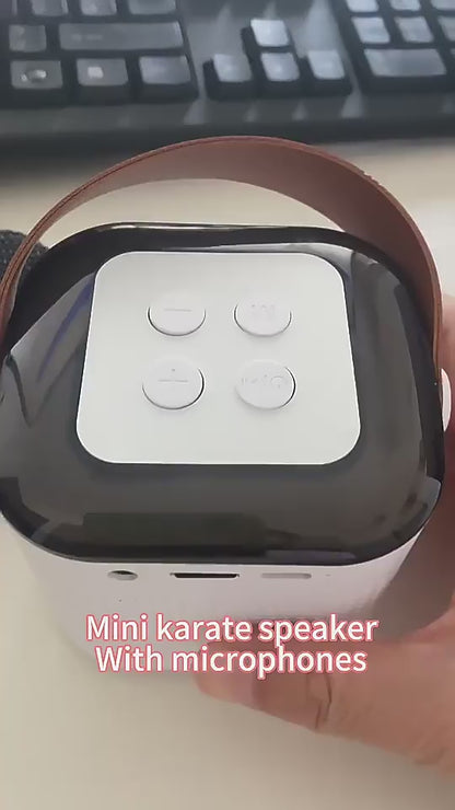 BT Small Speaker Outdoor Portable Card Wireless Smart Karaoke Microphone